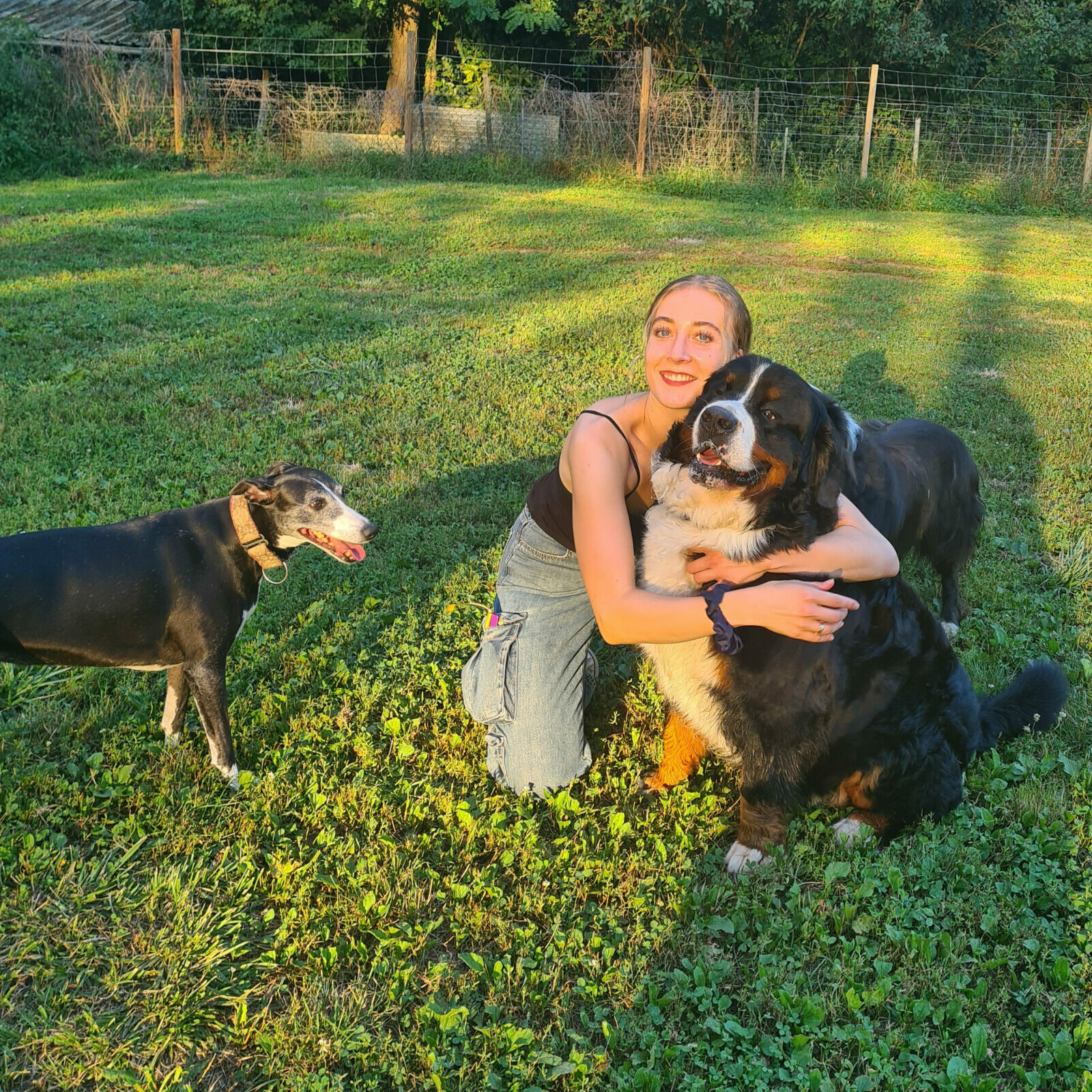 Petsitter Metz